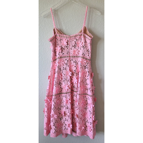 Fairy Coquette Lace Dress Size 2 Pink Michael Kors 3D Floral Appliquéd HOCO - Picture 7 of 12